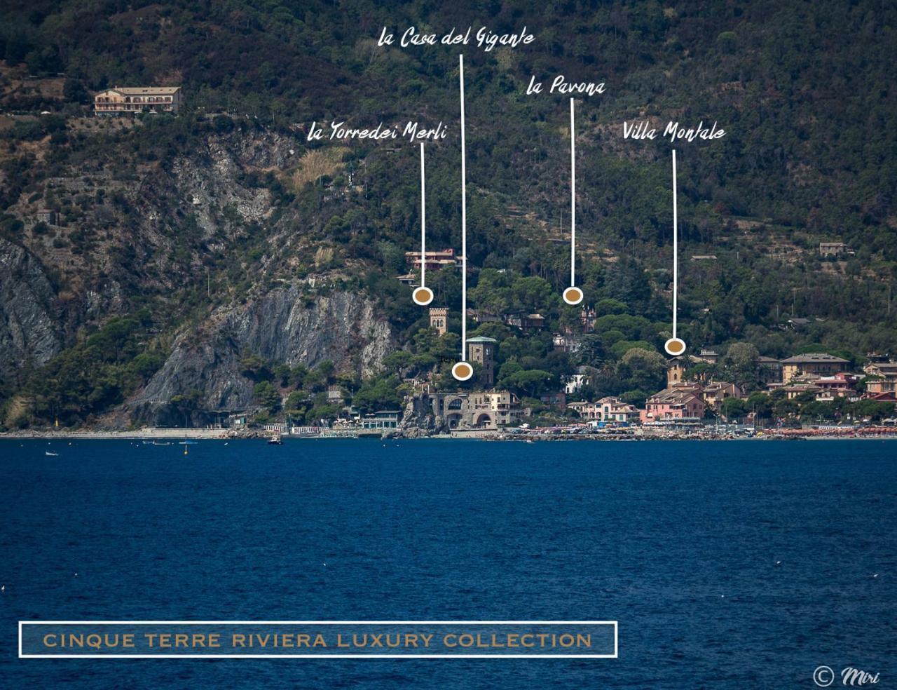 Villa Montale Apartment I Limoni Monterosso al Mare Eksteriør billede
